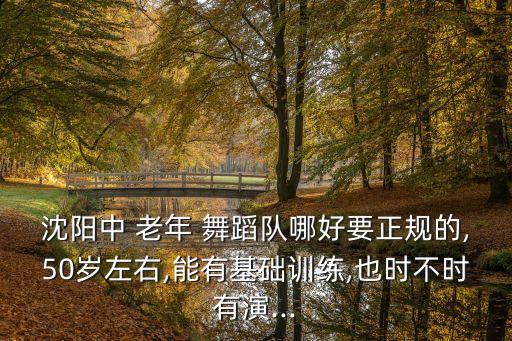 沈阳中 老年 舞蹈队哪好要正规的,50岁左右,能有基础训练,也时不时有演...