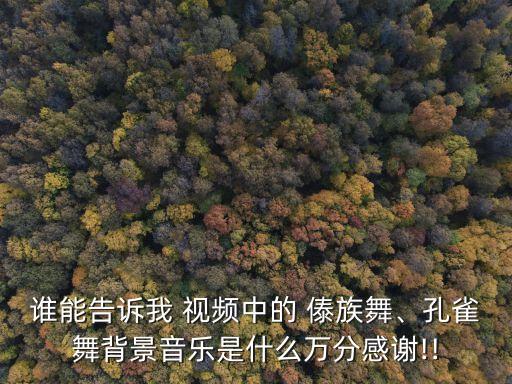 谁能告诉我 视频中的 傣族舞、孔雀舞背景音乐是什么万分感谢!!