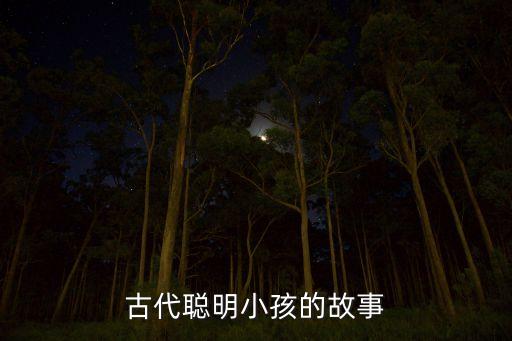 古代聪明小孩的故事