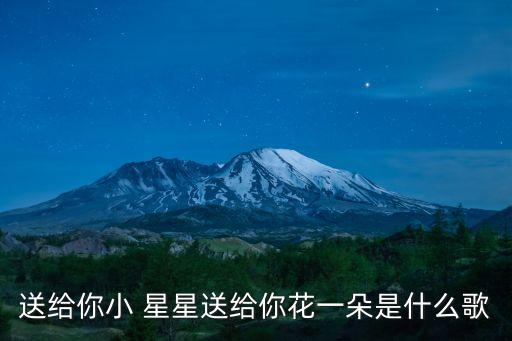 送给你小 星星送给你花一朵是什么歌