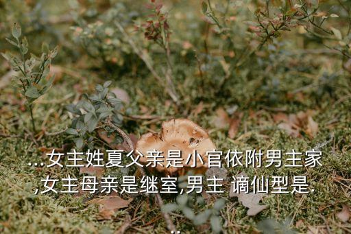 ...女主姓夏父亲是小官依附男主家,女主母亲是继室,男主 谪仙型是...