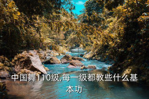 中国舞110级,每一级都教些什么基本功