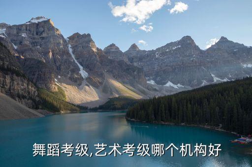  舞蹈考级,艺术考级哪个机构好