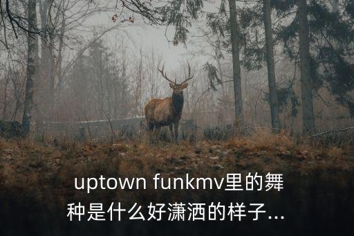  uptown funkmv里的舞种是什么好潇洒的样子...