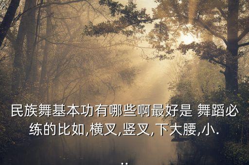 民族舞基本功有哪些啊最好是 舞蹈必练的比如,横叉,竖叉,下大腰,小...