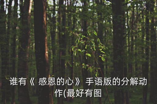 感恩你 手语舞蹈,感恩手语舞蹈慢动作教学视频
