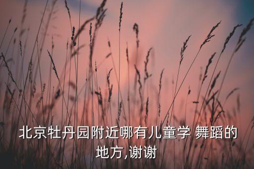  北京牡丹园附近哪有儿童学 舞蹈的地方,谢谢