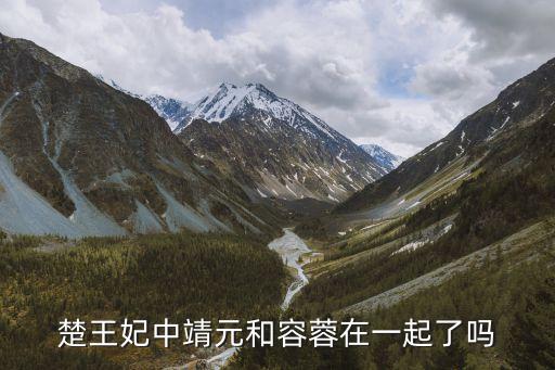 楚王妃中靖元和容蓉在一起了吗