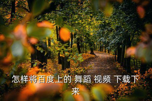 怎样将百度上的 舞蹈 视频 下载下来