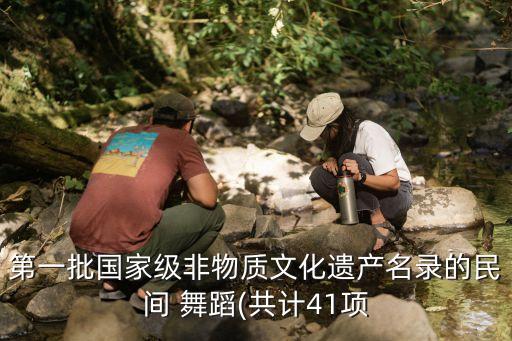 第一批国家级非物质文化遗产名录的民间 舞蹈(共计41项