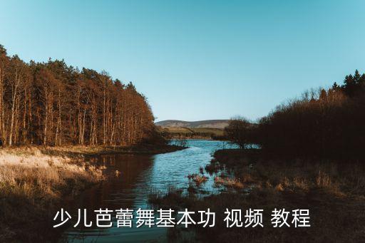 少儿芭蕾舞基本功 视频 教程