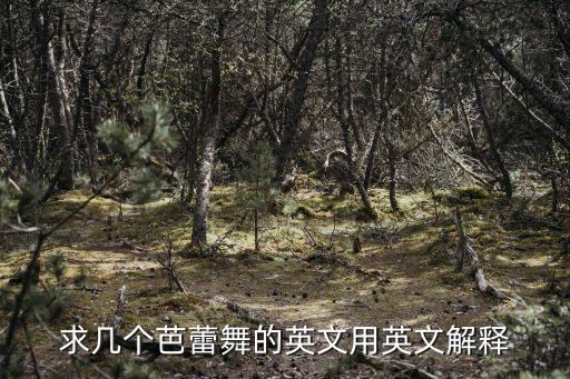 求几个芭蕾舞的英文用英文解释