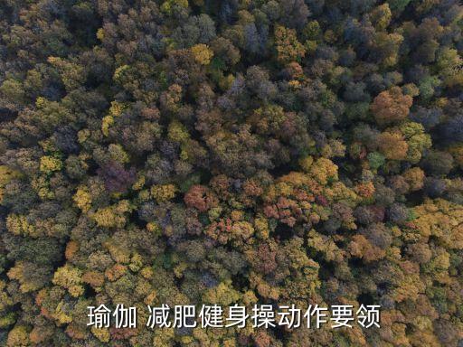 减肥瑜伽舞蹈视频教程,经期减肥瑜伽视频教程30分钟
