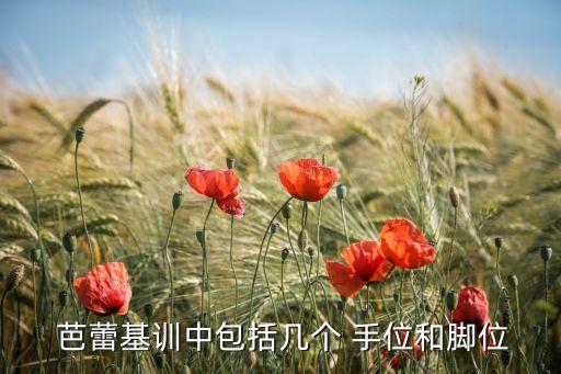 少儿芭蕾舞蹈手位小组合,天鹅湖少儿芭蕾舞蹈艺术中心