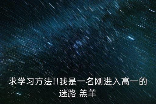 舞蹈迷途的羔羊教学版,迷途的羔羊舞蹈分解动作