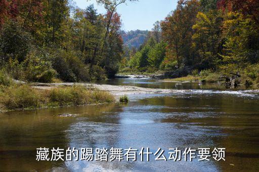藏族舞蹈基本体态动律
