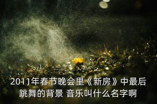 2011年春节晚会里《新房》中最后跳舞的背景 音乐叫什么名字啊