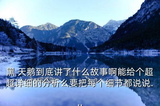 黑 天鹅到底讲了什么故事啊能给个超超详细的分析么要把每个细节都说说...
