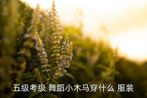 五级考级 舞蹈小木马穿什么 服装