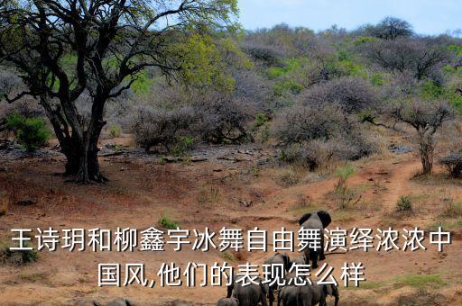 王诗玥和柳鑫宇冰舞自由舞演绎浓浓中国风,他们的表现怎么样