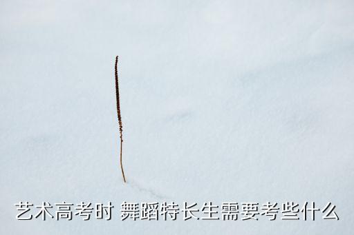 2015舞蹈艺考,今年舞蹈艺考分数线是多少