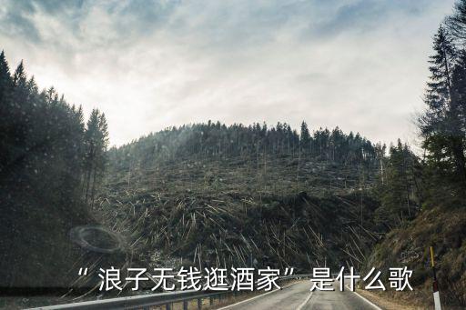 “ 浪子无钱逛酒家”是什么歌