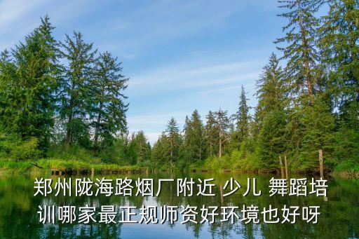  郑州陇海路烟厂附近 少儿 舞蹈培训哪家最正规师资好环境也好呀