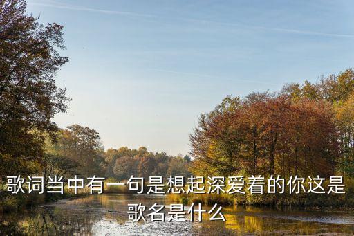 爱情路上风雨多舞蹈全部