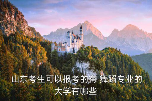  山东考生可以报考的有 舞蹈专业的大学有哪些