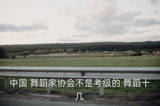 中国 舞蹈家协会不是考级的 舞蹈十几