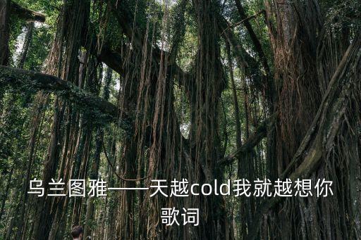 乌兰图雅——天越cold我就越想你歌词