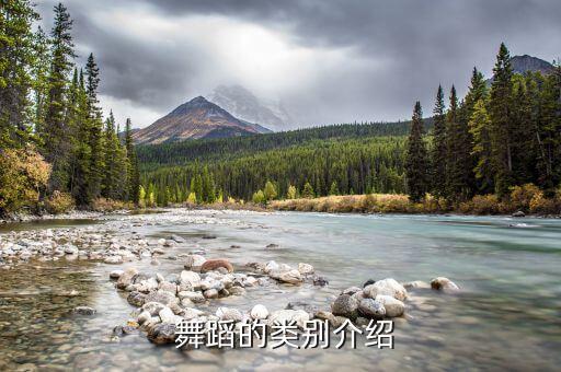 舞蹈社多种简介,舞蹈队简介