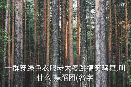 一群穿绿色衣服老太婆跳搞笑鸡舞,叫什么 舞蹈团(名字