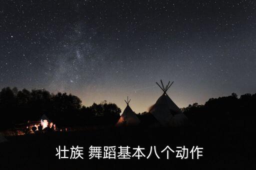  壮族 舞蹈基本八个动作