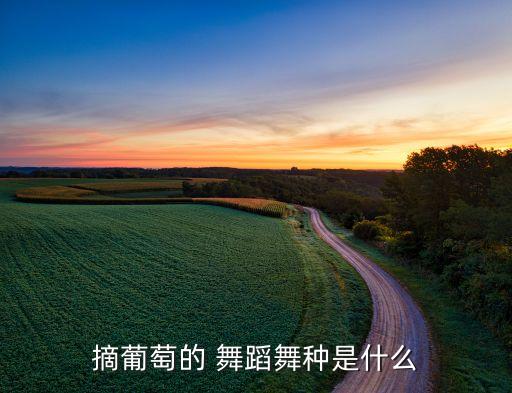 摘葡萄的 舞蹈舞种是什么
