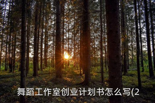  舞蹈工作室创业计划书怎么写(2
