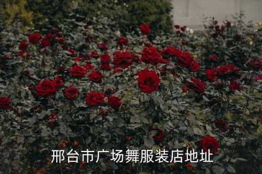 邢台市中老年舞蹈,最新获金奖中老年舞蹈