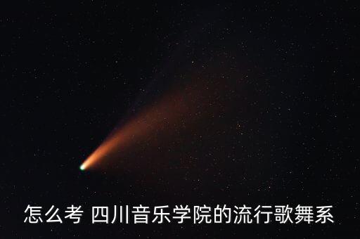 怎么考 四川音乐学院的流行歌舞系
