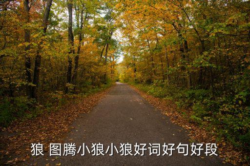 狼 图腾小狼小狼好词好句好段