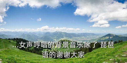 ...女声哼唱的背景音乐除了 琵琶语的谢谢大家