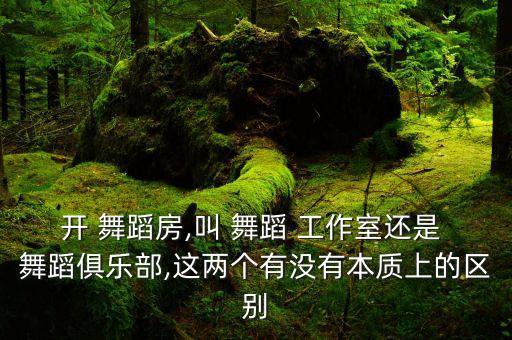 开 舞蹈房,叫 舞蹈 工作室还是 舞蹈俱乐部,这两个有没有本质上的区别