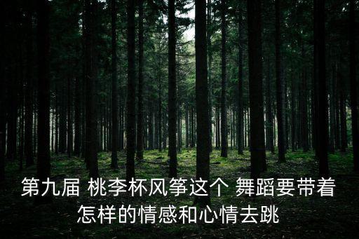 第九届 桃李杯风筝这个 舞蹈要带着怎样的情感和心情去跳