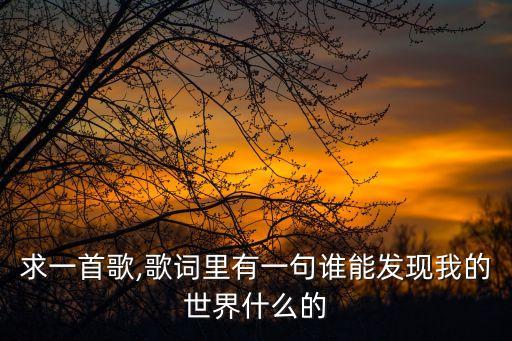 求一首歌,歌词里有一句谁能发现我的世界什么的