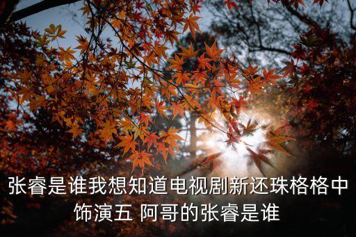 张睿是谁我想知道电视剧新还珠格格中饰演五 阿哥的张睿是谁
