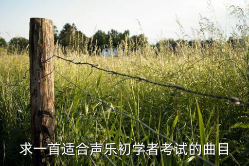 沂蒙颂舞蹈乐曲