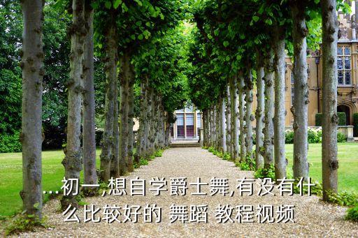 ...初一,想自学爵士舞,有没有什么比较好的 舞蹈 教程视频