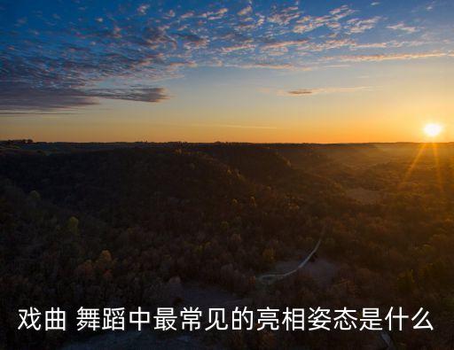 戏曲 舞蹈中最常见的亮相姿态是什么