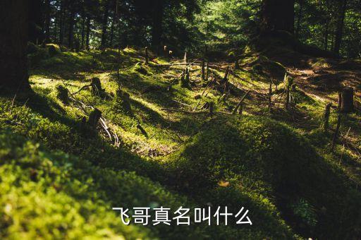 飞哥是什么族的舞蹈,飞哥和小佛是什么关系