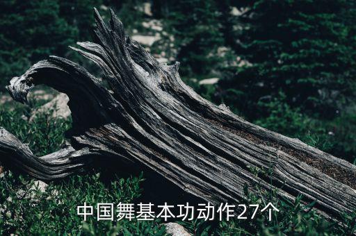 中国舞基本功动作27个