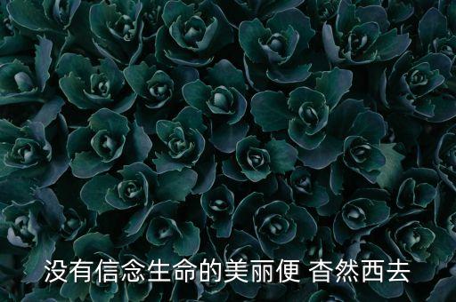 没有信念生命的美丽便 杳然西去
